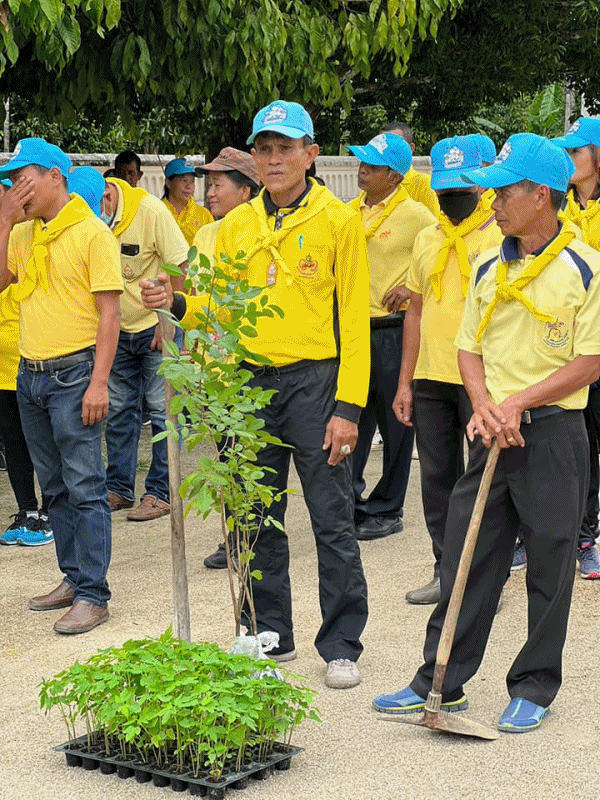 เทศบาลตำบลฉวาง ร่วมกิจกรรมทางนี้มีผล ผู้คนรักกัน อำเภอฉวาง
