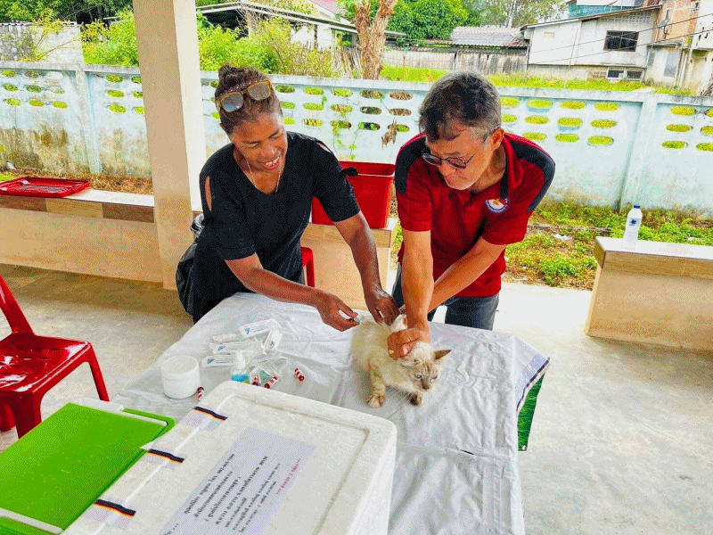 เทศบาลตำบลฉวาง ดำเนินการฉีดวัคซีนควบคุมและป้องกันโรคพิษสุนัขบ้า ประจำปี 2568 (ชุมชนบ้านวังม่วง , ชุมชนตลาดใต้และชุมชนริมแม่น้ำตาปี)